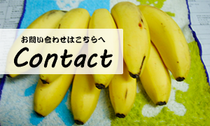 お問い合せ、メッセージは以下に記入してください
